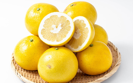 先行予約受付中<期間限定>磯部農園のサワーポメロ8kg箱バラ詰め(12玉~22玉)果樹【A-1846H】