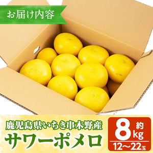 先行予約受付中<期間限定>磯部農園のサワーポメロ8kg箱バラ詰め(12玉~22玉)果樹【A-1846H】