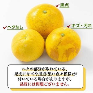 先行予約受付中<期間限定>磯部農園のサワーポメロ8kg箱バラ詰め(12玉~22玉)果樹【A-1846H】