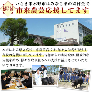 金の桜黒豚 しゃぶしゃぶセット 「黒豚 バラ 900g（300g×3P）」と「黒あごだしパック付き（8g×6包）」【A-1336H】