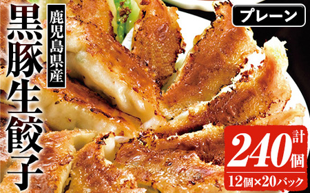 ☆大容量☆＜焼くだけ＞鹿児島黒豚生餃子 合計240個！（12個×20P） 国産 鹿児島県産 黒豚 餃子 ぎょうざ ギョーザ ギョウザ 冷凍餃子 冷凍 冷凍食品 惣菜 弁当 おかず 小分け 詰め合わせ 【A-1857H】