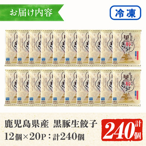 ☆大容量☆＜焼くだけ＞鹿児島黒豚生餃子 合計240個！（12個×20P） 国産 鹿児島県産 黒豚 餃子 ぎょうざ ギョーザ ギョウザ 冷凍餃子 冷凍 冷凍食品 惣菜 弁当 おかず 小分け 詰め合わせ 【A-1857H】