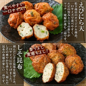 【数量限定】海の幸をギュッと！具材に！ズワイガニ天入り 5種の手作りさつま揚げ＜ ズワイガニ のほぐし身と オマール 海老 の えびみそ を混ぜたズワイガニ天入り＞冷蔵 小分け 鹿児島 串木野 名物 さつま揚げ つけあげ かまぼこ 蒲鉾 練り物【A-1859H】