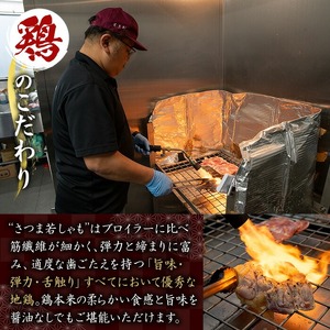 カット済み！さつま若シャモの 地鶏たたき バラエティ セット 500g(もも・むね・ささみ：100g×5) と 鹿児島 の さしみ醤油 1本(110ml) セット！ 冷凍 小分け 国産 さつま若しゃも 地鶏 食べ比べ 鳥刺し おつまみ 惣菜 にもオススメ 【A-1917H】