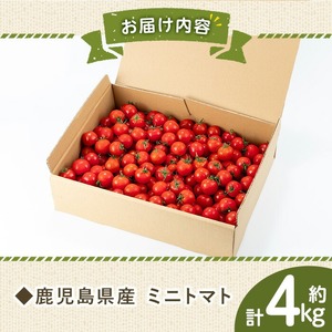 朝採れ ミニトマト4㎏！甘さと酸味の絶妙なバランス！鹿児島県産 トマト 新鮮 サラダ お弁当 ソース マリネ 【A-1934H】