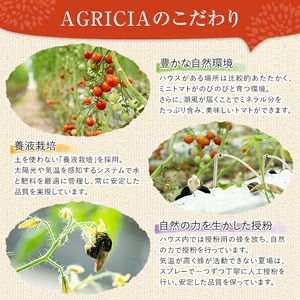 朝採れ ミニトマト4㎏！甘さと酸味の絶妙なバランス！鹿児島県産 トマト 新鮮 サラダ お弁当 ソース マリネ 【A-1934H】