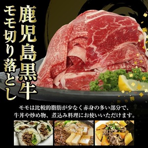 <数量・期間限定>鹿児島黒牛 モモ切り落としセット 900g(300g×3P)(J-1901)牛丼 炒め物 \2026年2月から4月にかけて順次出荷/【A-1983H】