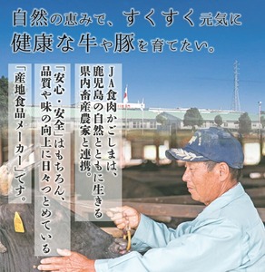 <数量・期間限定>鹿児島黒牛 モモ切り落としセット 900g(300g×3P)(J-1901)牛丼 炒め物 \2026年2月から4月にかけて順次出荷/【A-1983H】