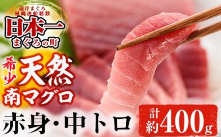 A‐644 【1月中旬以降発送】南マグロ味わいセット 中トロ約200g×赤身約200g