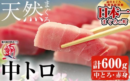 A-661 「旬」の天然メバチまぐろ中トロ・赤身厳選セット 約600g