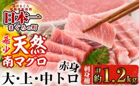 D‐601 【1月中旬以降発送】希少!天然南まぐろ極上セット 大トロ~赤身 約1.2kg