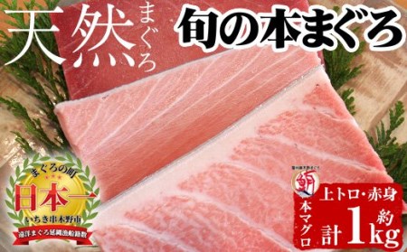E-054 天然・旬の本まぐろセット 約1㎏ 海鮮まぐろ家