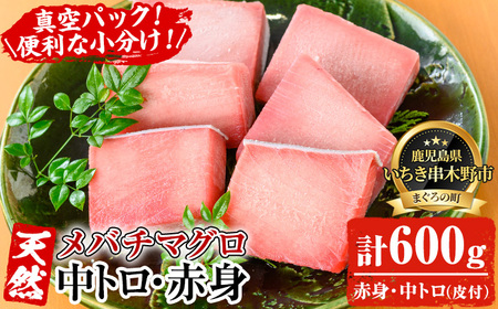 天然! 旬のメバチマグロ 冷凍 中トロ 100g×4 赤身 100g×2 合計約600gを便利な小分け柵で お届け! メバチマグロ三昧を召し上がれ まぐろ 刺身 中とろ 赤身 メバチまぐろ【海鮮まぐろ家】 【A-1664H】