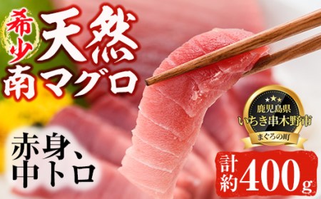 南マグロ味わいセット 南マグロ中トロ約200g 南マグロ赤身約200g【A