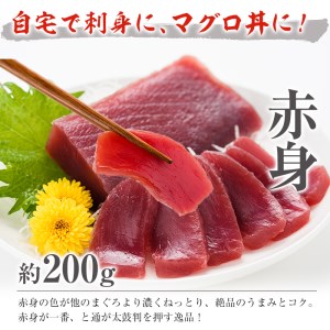 南マグロ味わいセット  南マグロ中トロ約200g 南マグロ赤身約200g【A-1274H】