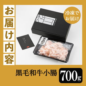 鹿児島県産黒毛和牛の小腸 ホルモン 700g 国産 鹿児島県産 黒毛和牛 モツ ホルモン 生冷凍 ホルモンミックス【A-1556H】