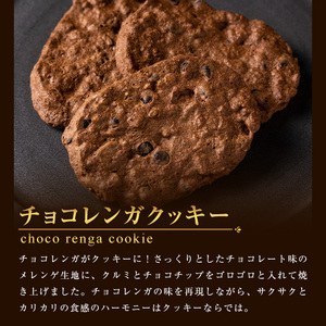 新食感のチョコレートケーキ　チョコレンガ ・ チョコ クッキー  詰め合わせセット （3種のチョコレート菓子）【A-1981H】