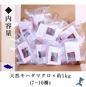 天然！ キハダマグロ 約1kg（100g×7-10柵） 真空 冷凍【B-347H】