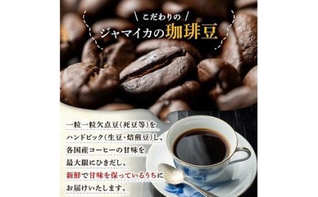 老舗珈琲店「珈琲堂ジャマイカ」が贈る、店主厳選！「本格ブレンドコーヒーセット」(100g×5種)／自家焙煎  コーヒー 珈琲 詰め合わせ 飲み比べ ノワール ボレロ ユニオン アロマ マイルド【A-1333H】