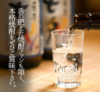 入手困難！限定焼酎「羽島」・「薩摩芳醇 七夕」2本飲み比べセット(芋焼酎  1.8L×2本セット）／鹿児島県産芋焼酎【B-339H】