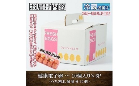 卵！ 健康電子たまご（鶏卵）6パック 60個入り (内10個 宅配破損時 保証卵付) 【A-1634H】