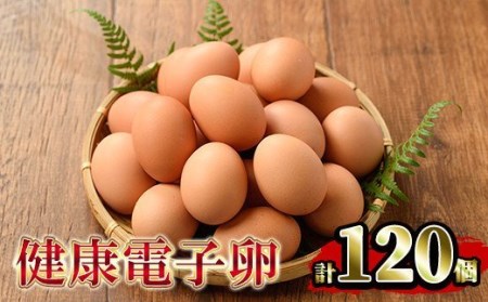 卵！健康電子たまご（鶏卵）12パック 120個入り(内10個 宅配破損時 保証卵付) 【A-1635H】