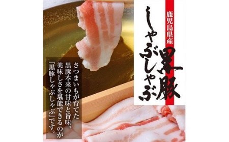 【訳あり】鹿児島県産黒豚しゃぶしゃぶ（ロース肉）500g×2パック【A-1477H】