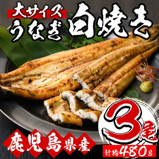 国産うなぎ（鹿児島県産うなぎ）白焼き 大 3尾入り！（白焼き（有頭）×3尾（約480g）自家製うなぎのタレ付 国産 うなぎ 白焼き 鰻 冷凍 九州 鹿児島【B-354H】