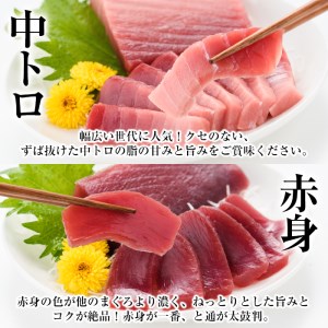 【定期便6回（毎月）】南マグロ丸ごと1本分 1回分の内容量は南マグロの大トロから赤身まで4kg〜6kgほどを揃えた贅沢セット。幻のマグロといわれる南マグロを半年間毎月お届け！【G-011H】