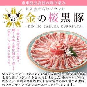 金の桜黒豚一口サイズロールステーキ（バラ肉）地元高校生が育てた金の桜黒豚のバラ肉をロールステーキに！金の桜黒豚ロールステーキ（100g×6袋）【A-1208H】