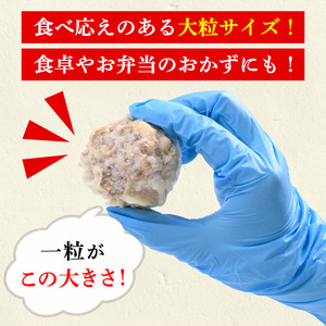 【訳あり】鹿児島県産豚肉使用！焼売48個セット(45ｇ×48個 合計2㎏超え！）ジューシーで食べ応えあり 訳ありは業務用なだけ♪焼売 シュウマイ しゅうまい 国産 お弁当 惣菜【A-1724H】