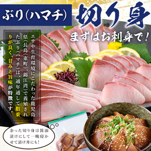 脂ののった鹿児島県産養殖ぶり（ハマチ）の切り身！「ロイン4節・カマ2個付」合計約2kg！養殖ぶり生産日本一の鹿児島県産ぶり ブリ 鰤 刺身 ぶりしゃぶ 【B-328H】