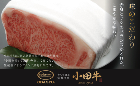 【プレミアムブランド】鹿児島県産黒毛和牛「小田牛」 牛肉100% 2種類のハンバーグステーキ 計4個(120g×各2個) チーズハンバーグ 牛肉 総菜 おかず レトルト 黒毛和牛 和牛日本一 小田畜産 冷凍 ギフト 贈答 南さつま市