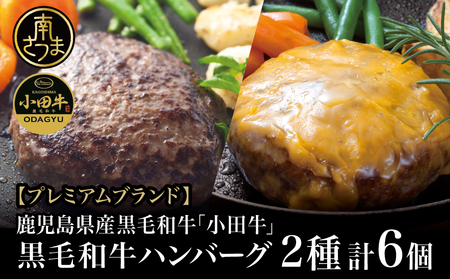 □【プレミアムブランド】鹿児島県産黒毛和牛「小田牛」 牛肉100％ 2種類のハンバーグステーキ 計6個（120g×各3個） チーズハンバーグ 牛肉 総菜 おかず レトルト 黒毛和牛 和牛日本一 小田畜産 冷凍 ギフト 贈答 南さつま市