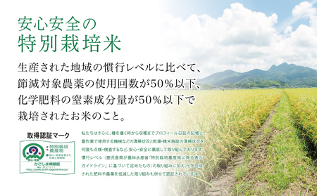 【令和6年産】＜新米・8月発送開始＞ 特別栽培米 金峰コシヒカリ石蔵米5kg×1袋 コシヒカリ 特別栽培農産物 コメ おこめ 5キロ こしひかり 米 鹿児島県産 南さつま市