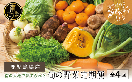 【全4回 定期便】鹿児島県産 南の大地で育てられた旬の野菜定期便 セット 詰合せ 鹿児島 エスランドル 野菜 お野菜 野菜BOX 旬 果物 フルーツ 定期配送 南さつま市