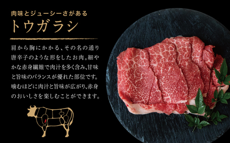 【鹿児島県産】黒毛和牛 焼肉用 計600g 赤身希少部位2種セット 数量限定 国産 肉 牛肉 希少部位 焼肉 BBQ 小分け セット 食べ比べ 訳あり 冷凍 スターゼン 南さつま市