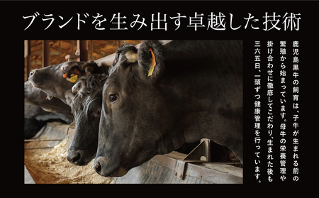 【和牛日本一】5等級 鹿児島黒牛サーロインステーキ 2枚 計400g（200g×2P） 牛肉 黒毛和牛 冷凍 バーベキュー BBQ JA食肉かごしま