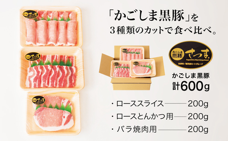 【ブランド黒豚】かごしま黒豚 3種類 計600g バラエティセット お肉 国産 豚肉 鹿児島県産 冷凍 南さつま市