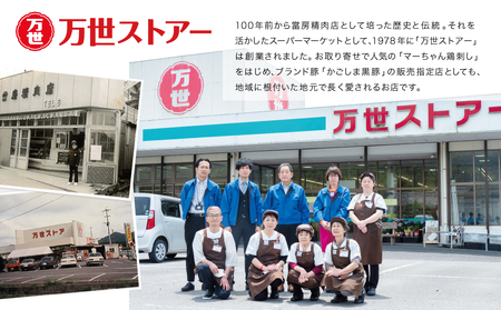 【ブランド黒豚】かごしま黒豚 3種類 計600g バラエティセット お肉 国産 豚肉 鹿児島県産 冷凍 南さつま市