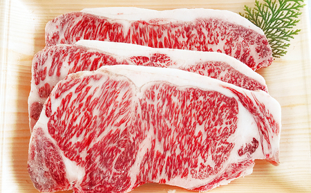 【鹿児島県産】黒毛和牛 サーロインステーキ 約500g （約170g×3枚） 牛肉 A4等級 ステーキ BBQ ギフト 贈答 冷凍 スターゼン