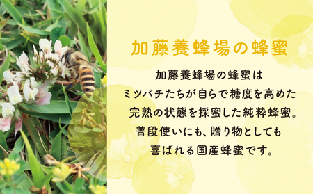 【国産 純粋はちみつ】アカシア蜂蜜 1.2kg ハチミツ 鹿児島産 ギフト ご贈答 加藤養蜂場 南さつま市