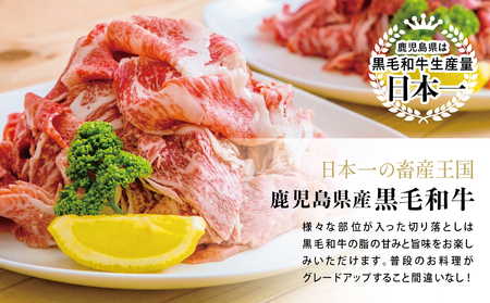 【鹿児島県産】A5等級黒毛和牛切落し 計1kg(250g×4P) 国産牛 牛肉 国産 おかず カレー 牛丼 肉じゃが カミチク 切り落とし 小分けパック 冷凍