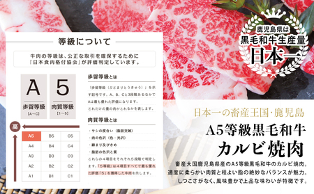 【鹿児島県産】A5等級黒毛和牛 カルビ焼肉 計600g(200g×3P) 国産牛 牛肉 国産 焼き肉 カミチク BBQ バーベキュー アウトドア バラ 丼 プレート 小分けパック 冷凍