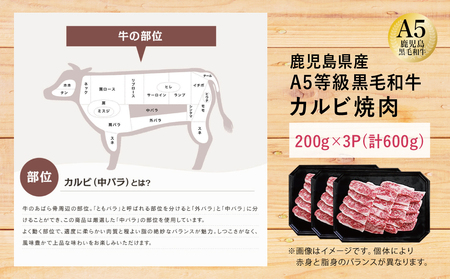【鹿児島県産】A5等級黒毛和牛 カルビ焼肉 計600g(200g×3P) 国産牛 牛肉 国産 焼き肉 カミチク BBQ バーベキュー アウトドア バラ 丼 プレート 小分けパック 冷凍