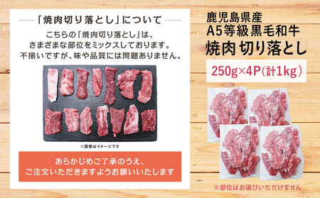鹿児島県産 A5等級 黒毛和牛 焼肉 切り落とし 計1kg(250g×4P)国産牛 牛肉 和牛 国産 焼き肉 切落し おまかせ サイズ不揃い BBQ バーベキュー 小分けパック 冷凍 カミチク 南さつま市