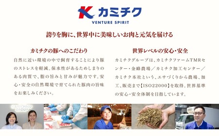 【年末限定企画】カミチクのしゃぶしゃぶ用お肉が3回届く定期便～鹿児島県産豚ロース＆バラ 1kg×3回 合計3kg お肉 豚肉 ロース バラ しゃぶしゃぶ グルメ 小分け 冷凍 期間限定 定期便 カミチク