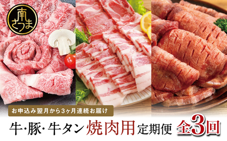 【厳選焼肉定期便】黒毛和牛・ブランド豚・牛タン 全3回コース 牛肉 焼肉 焼き肉 BBQ バーベキュー 豚肉 バラ ロース 牛タン お肉 小分け 冷凍 定期配送 カミチク スターゼン JA食肉かごしま 鹿児島県南さつま市