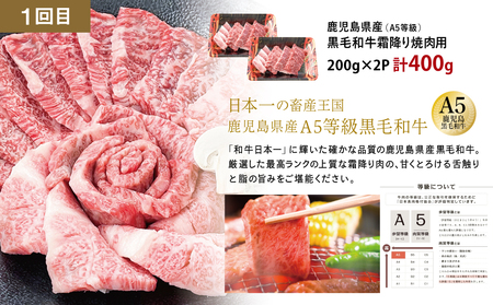 【厳選焼肉定期便】黒毛和牛・ブランド豚・牛タン 全3回コース 牛肉 焼肉 焼き肉 BBQ バーベキュー 豚肉 バラ ロース 牛タン お肉 小分け 冷凍 定期配送 カミチク スターゼン JA食肉かごしま 鹿児島県南さつま市