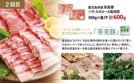 【厳選焼肉定期便】黒毛和牛・ブランド豚・牛タン 全3回コース 牛肉 焼肉 焼き肉 BBQ バーベキュー 豚肉 バラ ロース 牛タン お肉 小分け 冷凍 定期配送 カミチク スターゼン JA食肉かごしま 鹿児島県南さつま市